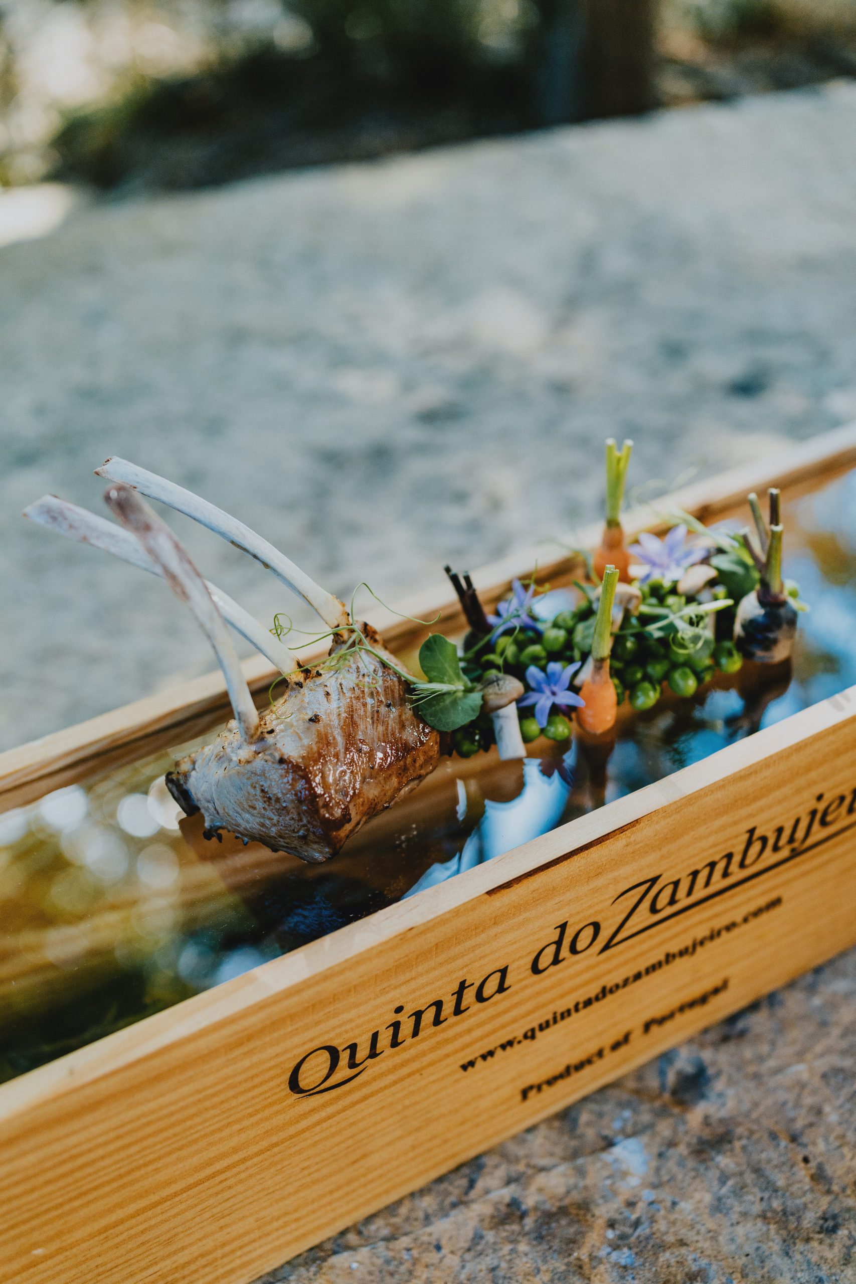 Carlos André Matos